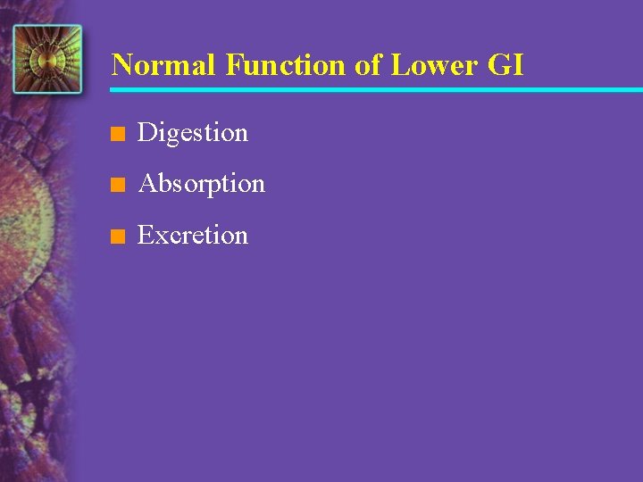 Normal Function of Lower GI n Digestion n Absorption n Excretion 
