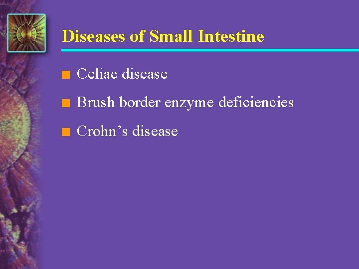 Diseases of Small Intestine n Celiac disease n Brush border enzyme deficiencies n Crohn’s