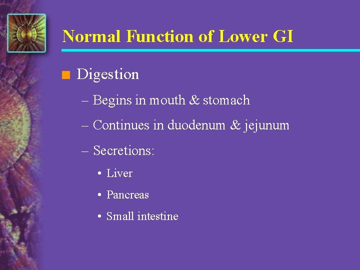 Normal Function of Lower GI n Digestion – Begins in mouth & stomach –