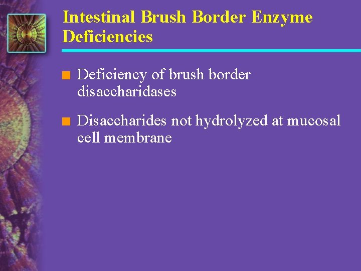 Intestinal Brush Border Enzyme Deficiencies n Deficiency of brush border disaccharidases n Disaccharides not