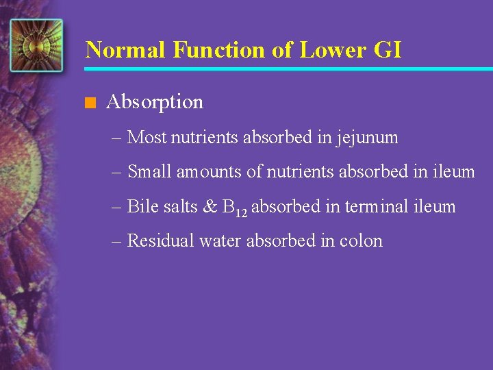 Normal Function of Lower GI n Absorption – Most nutrients absorbed in jejunum –