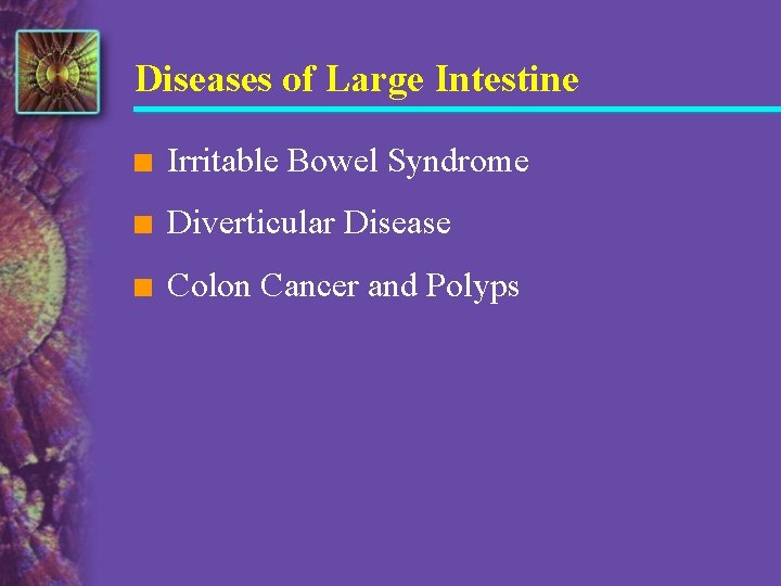 Diseases of Large Intestine n Irritable Bowel Syndrome n Diverticular Disease n Colon Cancer