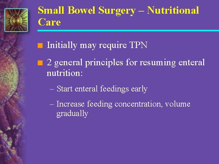 Small Bowel Surgery – Nutritional Care n Initially may require TPN n 2 general