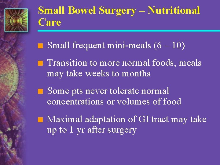 Small Bowel Surgery – Nutritional Care n Small frequent mini-meals (6 – 10) n
