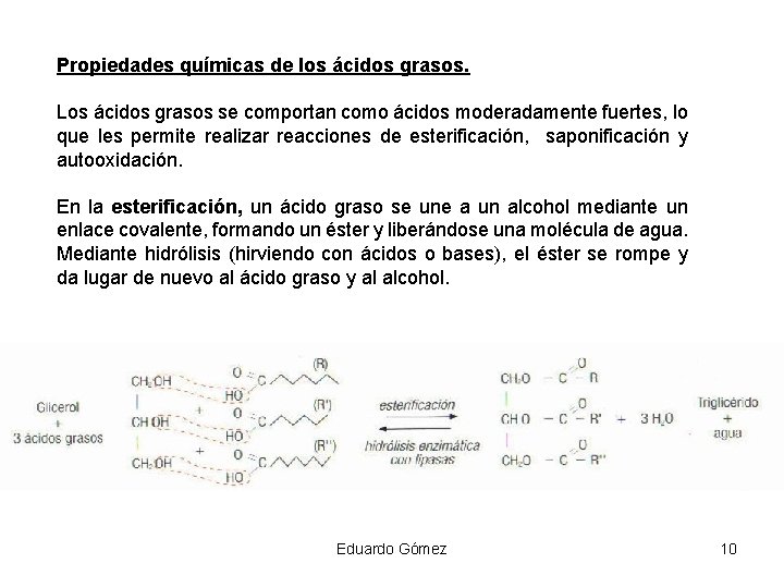 Propiedades químicas de los ácidos grasos. Los ácidos grasos se comportan como ácidos moderadamente