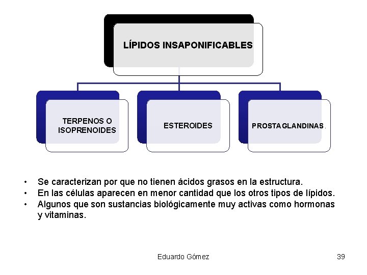 LÍPIDOS INSAPONIFICABLES TERPENOS O ISOPRENOIDES • • • ESTEROIDES PROSTAGLANDINAS. Se caracterizan por que