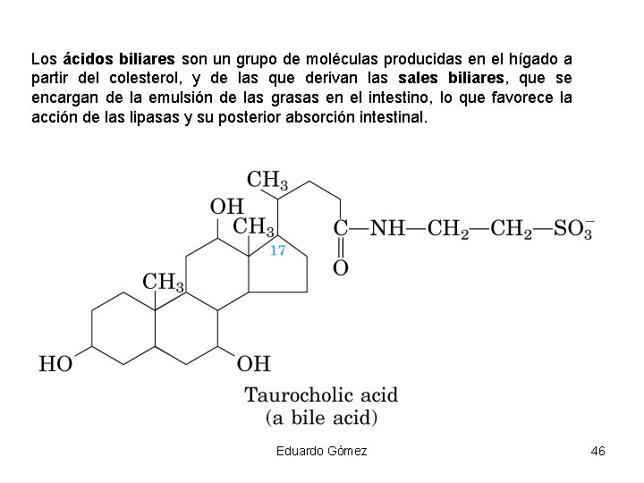 Los ácidos biliares son un grupo de moléculas producidas en el hígado a partir