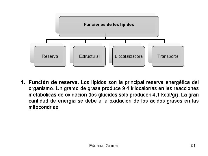 Funciones de los lípidos Reserva Estructural Biocatalizadora Transporte 1. Función de reserva. Los lípidos