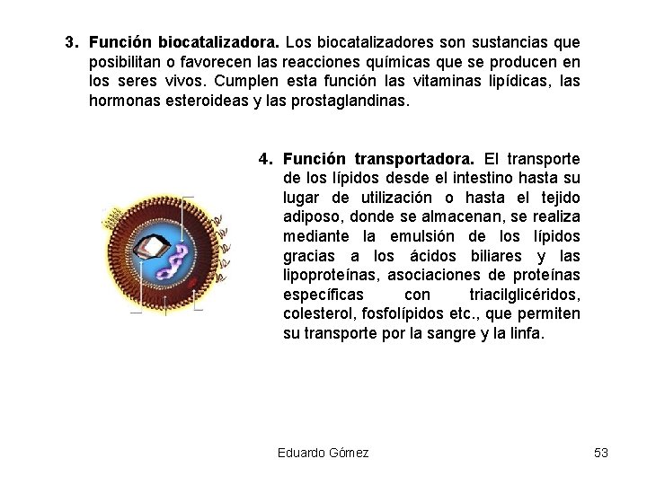 3. Función biocatalizadora. Los biocatalizadores son sustancias que posibilitan o favorecen las reacciones químicas