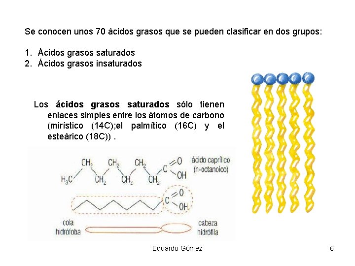 Se conocen unos 70 ácidos grasos que se pueden clasificar en dos grupos: 1.