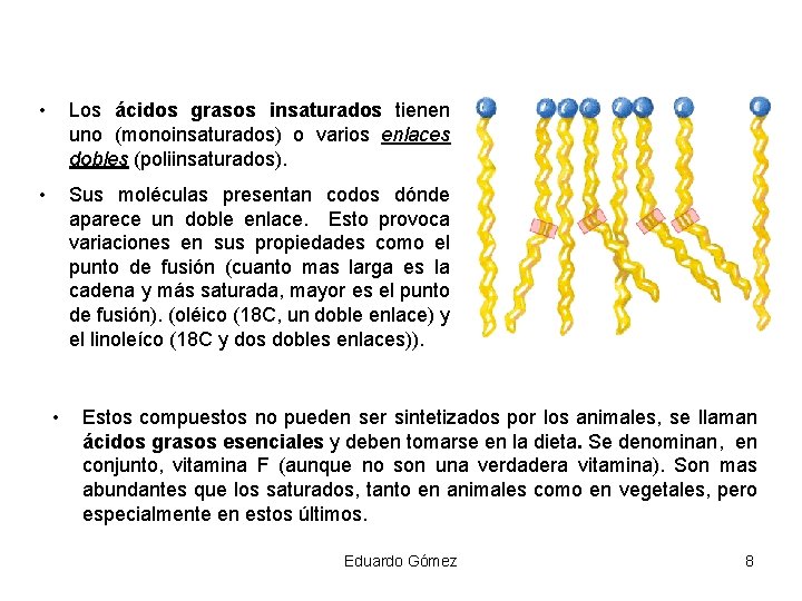  • Los ácidos grasos insaturados tienen uno (monoinsaturados) o varios enlaces dobles (poliinsaturados).