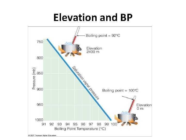 Elevation and BP 