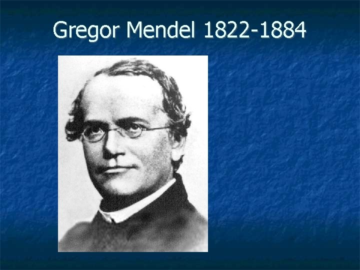 Gregor Mendel 1822 -1884 