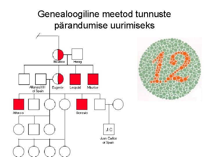 Genealoogiline meetod tunnuste pärandumise uurimiseks 