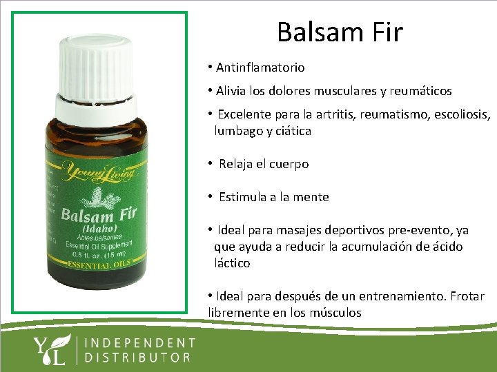 Balsam Fir • Antinflamatorio • Alivia los dolores musculares y reumáticos • Excelente para