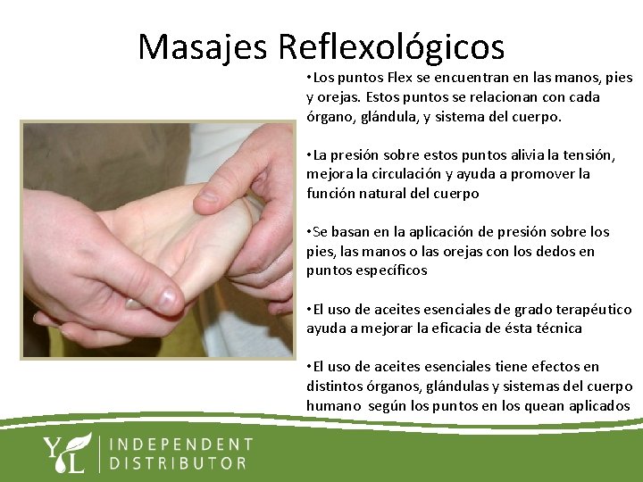 Masajes Reflexológicos • Los puntos Flex se encuentran en las manos, pies y orejas.