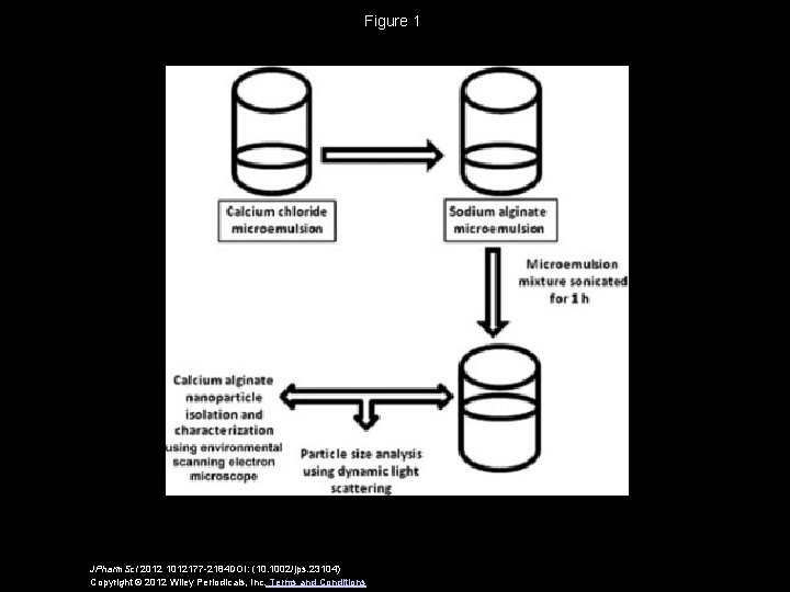 Figure 1 JPharm. Sci 2012 1012177 -2184 DOI: (10. 1002/jps. 23104) Copyright © 2012