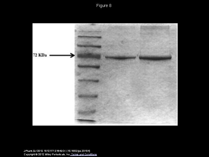 Figure 8 JPharm. Sci 2012 1012177 -2184 DOI: (10. 1002/jps. 23104) Copyright © 2012