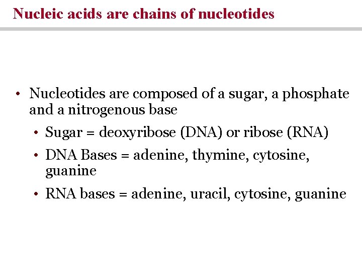 Nucleic acids are chains of nucleotides • Nucleotides are composed of a sugar, a Nucleic acids are chains of nucleotides • Nucleotides are composed of a sugar, a