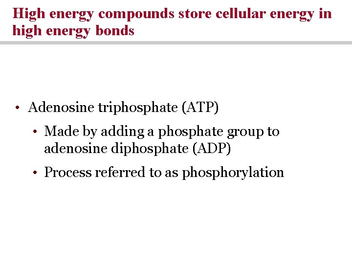 High energy compounds store cellular energy in high energy bonds • Adenosine triphosphate (ATP) High energy compounds store cellular energy in high energy bonds • Adenosine triphosphate (ATP)