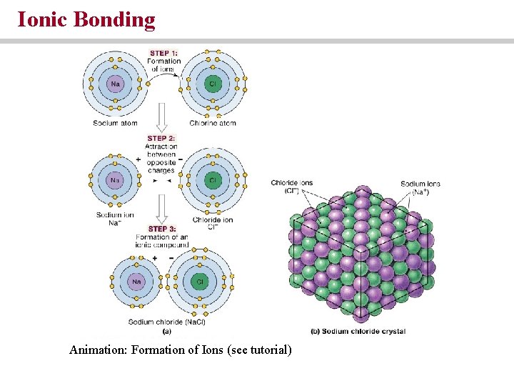 Ionic Bonding Animation: Formation of Ions (see tutorial) Ionic Bonding Animation: Formation of Ions (see tutorial)