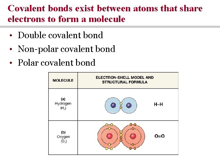 Covalent bonds exist between atoms that share electrons to form a molecule • Double Covalent bonds exist between atoms that share electrons to form a molecule • Double