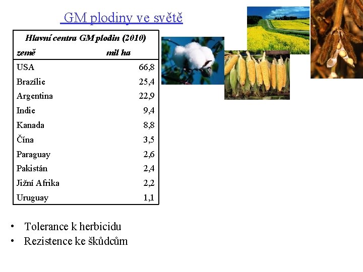  GM plodiny ve světě Hlavní centra GM plodin (2010) země mil ha USA