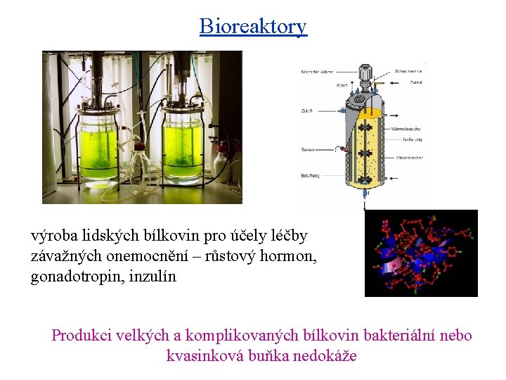 Bioreaktory výroba lidských bílkovin pro účely léčby závažných onemocnění – růstový hormon, gonadotropin, inzulín