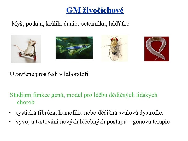 GM živočichové Myš, potkan, králík, danio, octomilka, háďátko Uzavřené prostředí v laboratoři Studium funkce