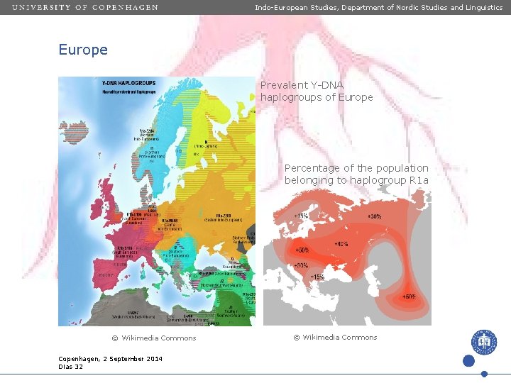 Indo-European Studies, Department of Nordic Studies and Linguistics Europe Prevalent Y-DNA haplogroups of Europe
