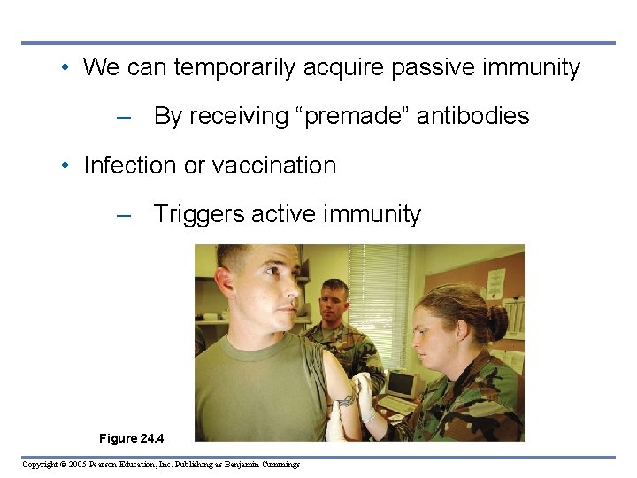  • We can temporarily acquire passive immunity – By receiving “premade” antibodies •