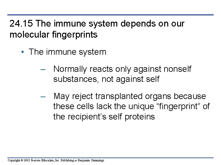 24. 15 The immune system depends on our molecular fingerprints • The immune system