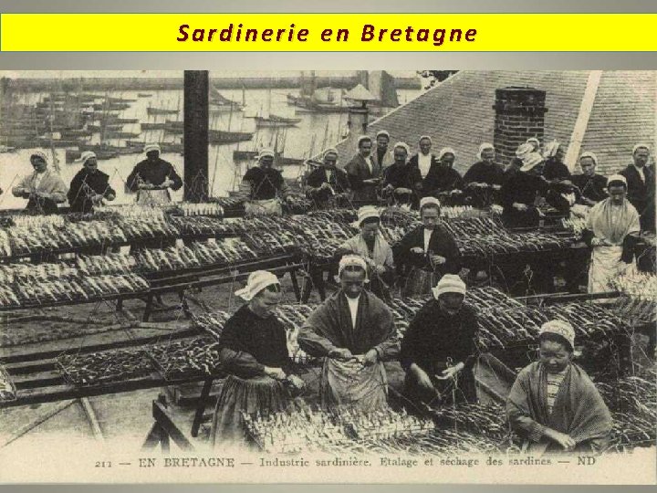 Sardinerie en Bretagne 