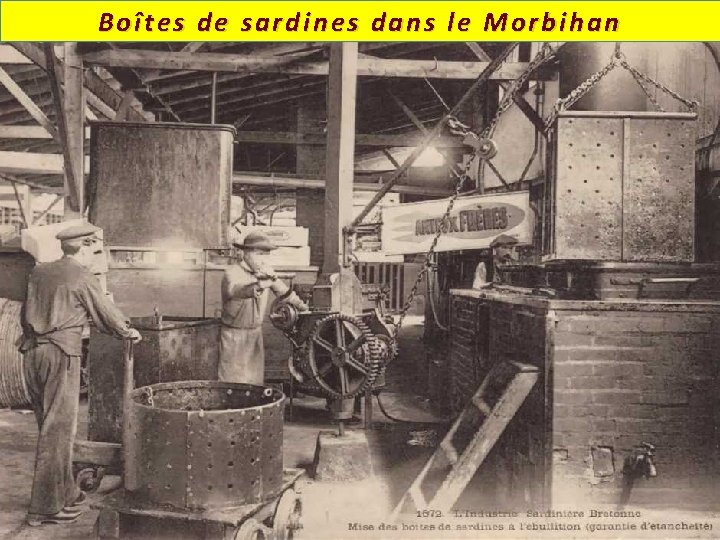 Boîtes de sardines dans le Morbihan 