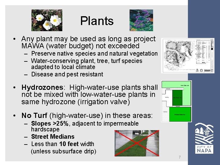 Plants • Any plant may be used as long as project MAWA (water budget) Plants • Any plant may be used as long as project MAWA (water budget)