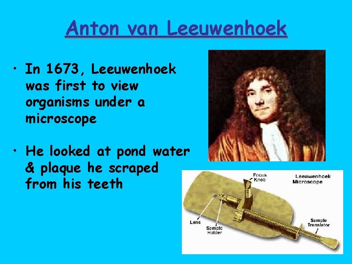 Anton van Leeuwenhoek • In 1673, Leeuwenhoek was first to view organisms under a