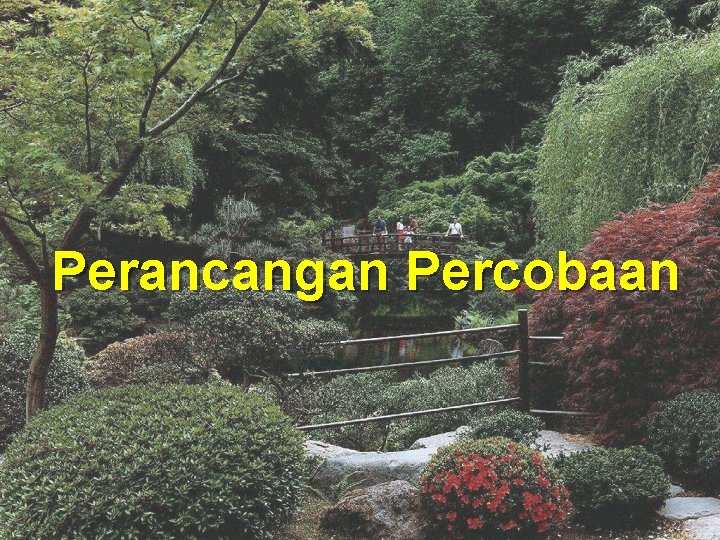 Perancangan Percobaan 