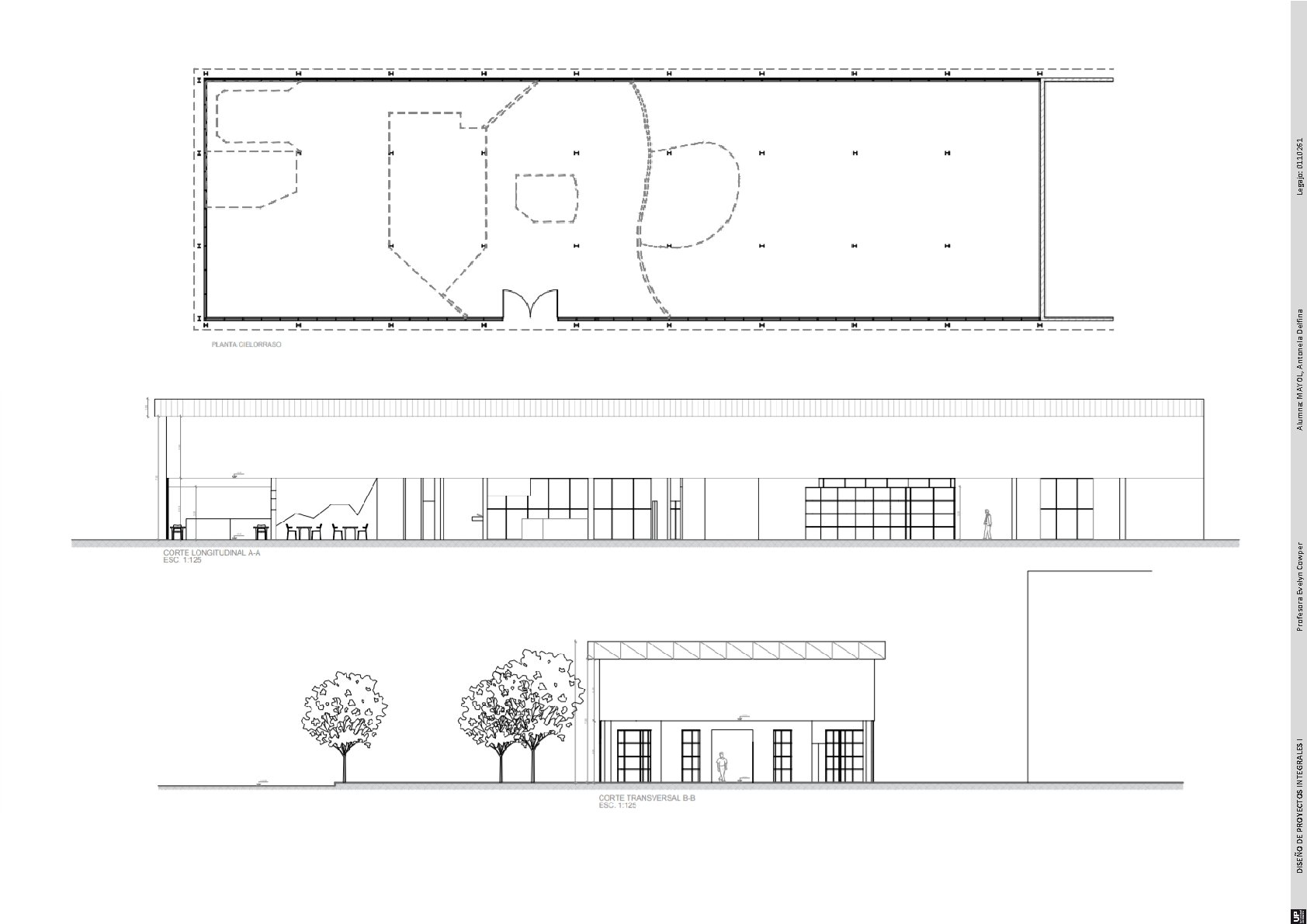 DISEÑO DE PROYECTOS INTEGRALES I Profesora Evelyn Cowper Alumna: MAYOL, Antonela Delfina Legajo: 0110261