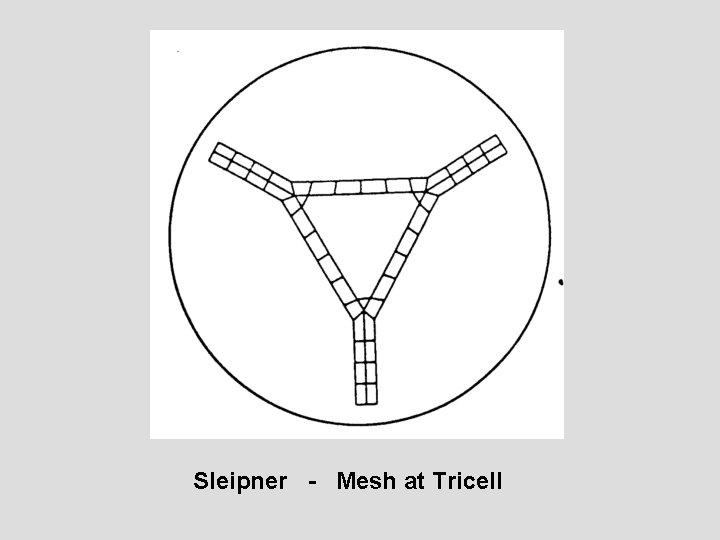 Sleipner - Mesh at Tricell 