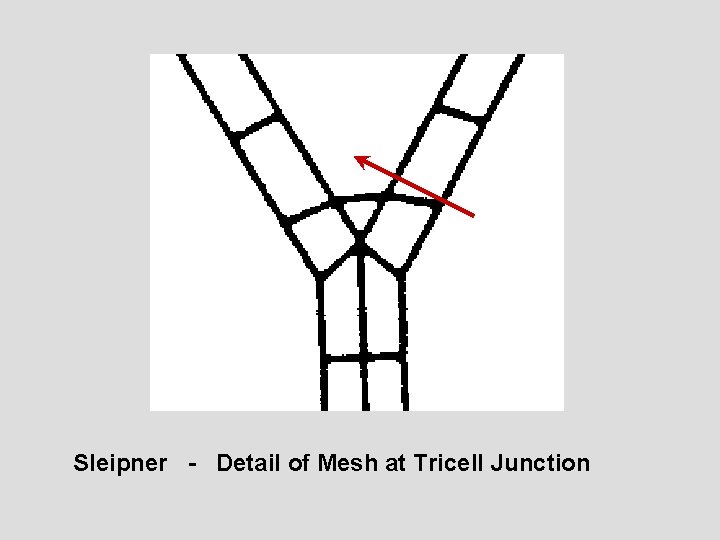 Sleipner - Detail of Mesh at Tricell Junction 