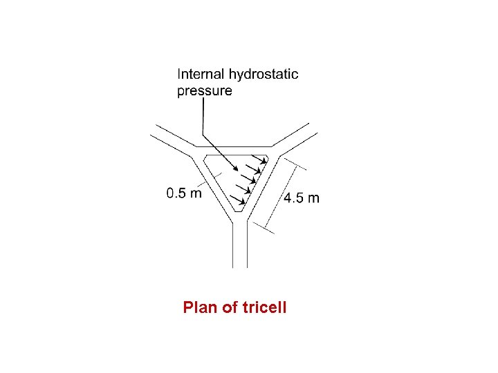 Plan of tricell 