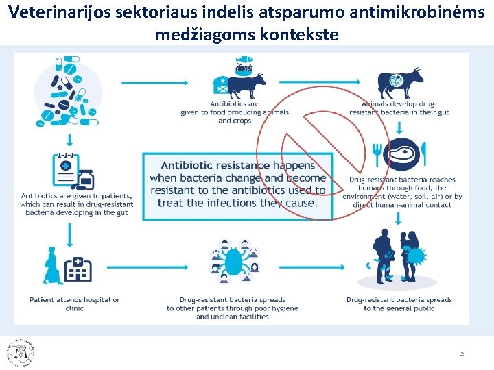 Veterinarijos sektoriaus indelis atsparumo antimikrobinėms medžiagoms kontekste 2 