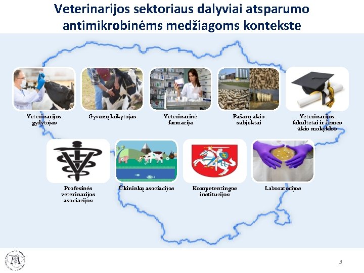 Veterinarijos sektoriaus dalyviai atsparumo antimikrobinėms medžiagoms kontekste Veterinarijos gydytojas Gyvūnų laikytojas Profesinės veterinarijos asociacijos Veterinarijos sektoriaus dalyviai atsparumo antimikrobinėms medžiagoms kontekste Veterinarijos gydytojas Gyvūnų laikytojas Profesinės veterinarijos asociacijos