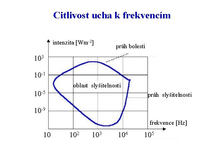 Citlivost ucha k frekvencím intenzita [Wm-2] práh bolesti 103 10 -1 oblast slyšitelnosti 10