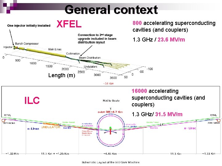 General context XFEL 800 accelerating superconducting cavities (and couplers) 1. 3 GHz / 23.