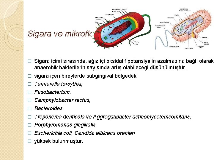 Sigara ve mikroflora � Sigara içimi sırasında, ağız içi oksidatif potansiyelin azalmasına bağlı olarak