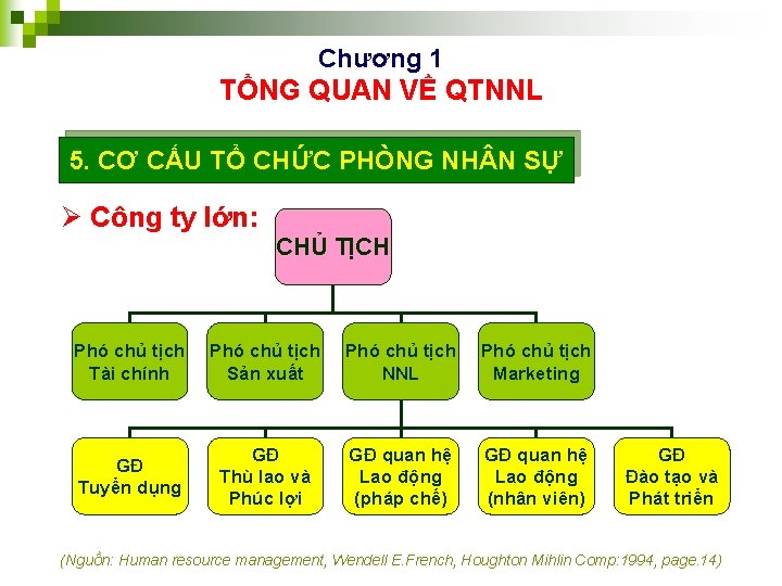 Chương 1 TỔNG QUAN VỀ QTNNL 5. CƠ CẤU TỔ CHỨC PHÒNG NH N