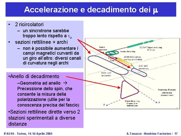 Accelerazione e decadimento dei m • 2 ricircolatori – un sincrotrone sarebbe troppo lento