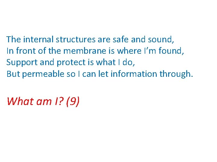The internal structures are safe and sound, In front of the membrane is where