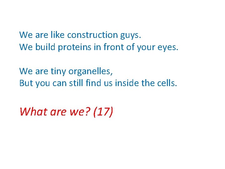 We are like construction guys. We build proteins in front of your eyes. We